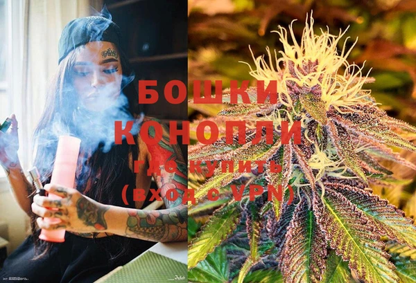 PSILOCYBIN Беломорск
