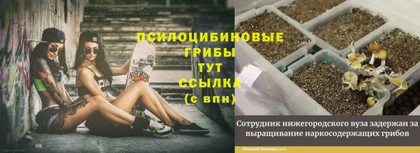 PSILOCYBIN Беломорск