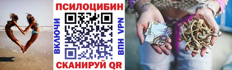 кракен ONION  где можно купить наркотик  Лаишево  Псилоцибиновые грибы Psilocybe 